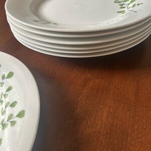 Martha Stewart Dinner plates